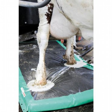Picture of Auto Hoof Clean